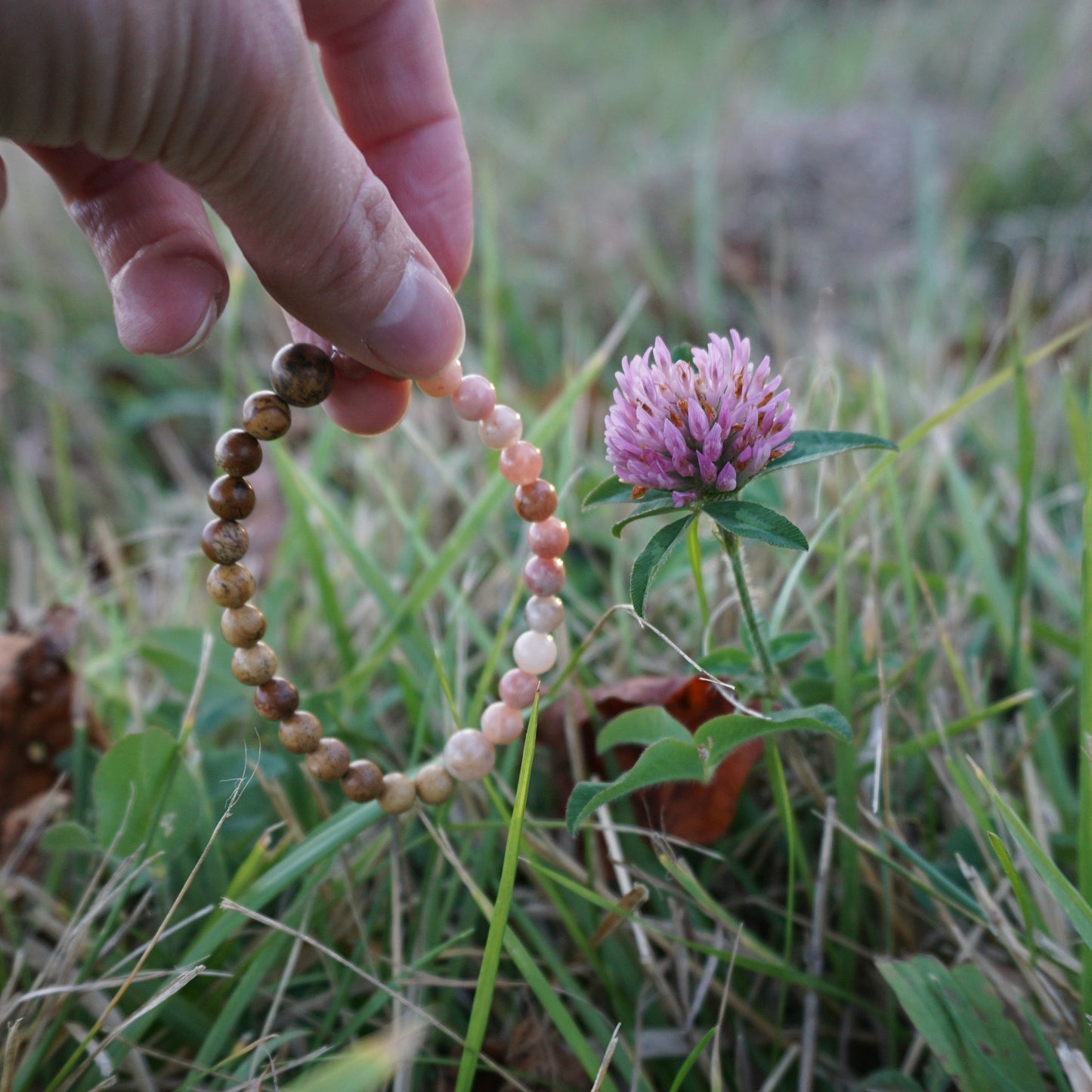 Fading Blooms Set